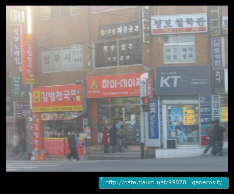 하이데이지 이미지