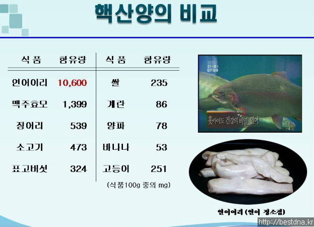 (주)핵산바이오 이미지