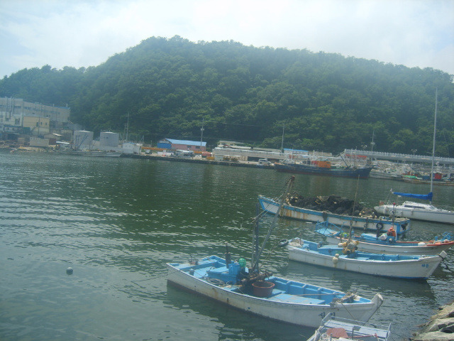 강구항 이미지