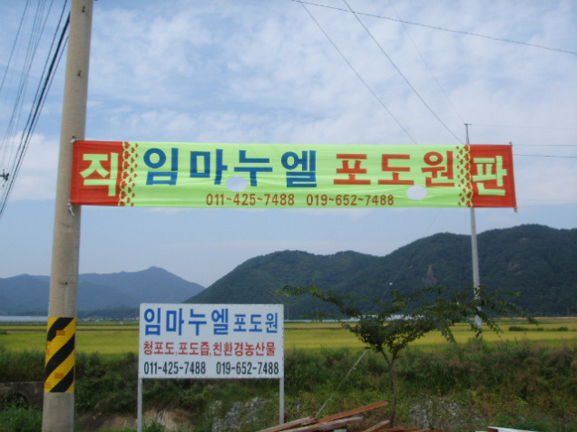 임마누엘 농장 이미지