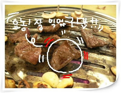 한우랑돼지랑 이미지