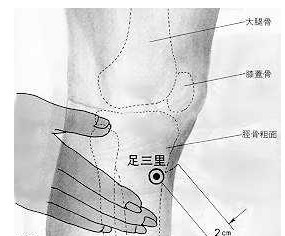 족삼리 이미지
